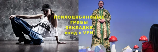мдпв Краснослободск