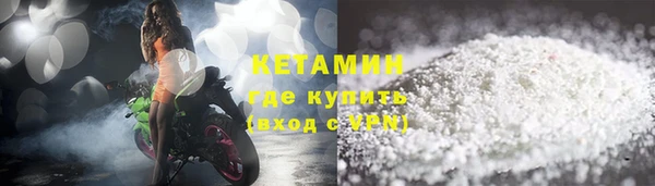 трава Коряжма
