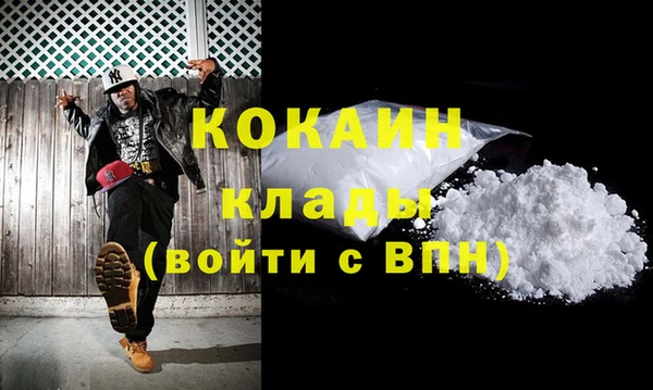 трава Коряжма
