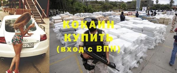 мдпв Краснослободск
