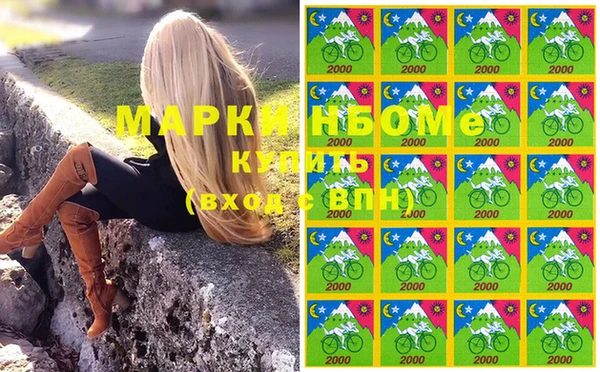 мдпв Краснослободск