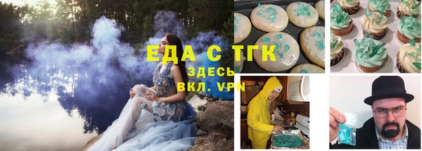мдпв Краснослободск
