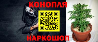бошки Будённовск