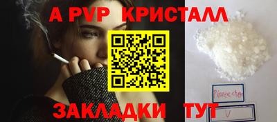 стафф Бийск