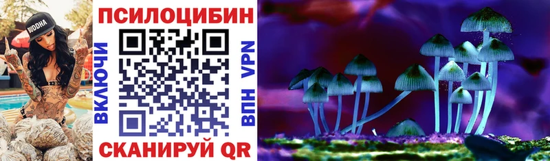 Галлюциногенные грибы Psilocybe  купить закладку  маркетплейс формула  Дзержинск 