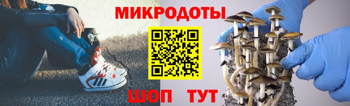 Псилоцибиновые грибы Cubensis  Дзержинск 