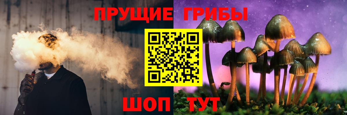 Псилоцибиновые грибы MAGIC MUSHROOMS Дзержинск