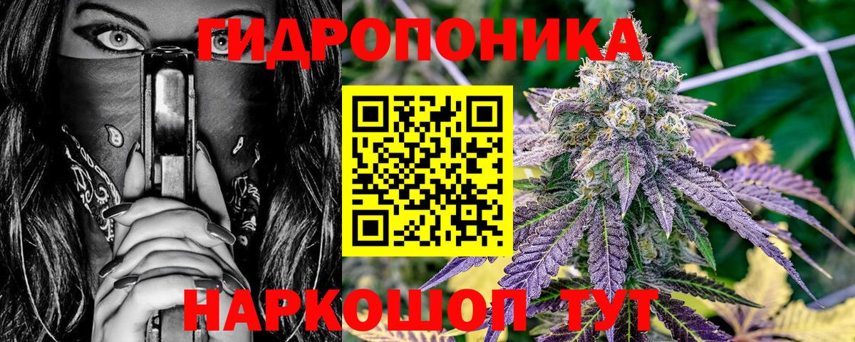Канабис семена Дзержинск